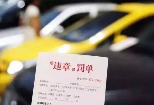 共享汽车罚单是多少