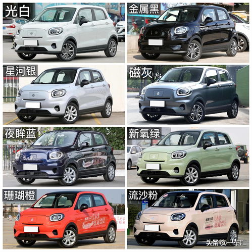 平乐共有多少辆汽车