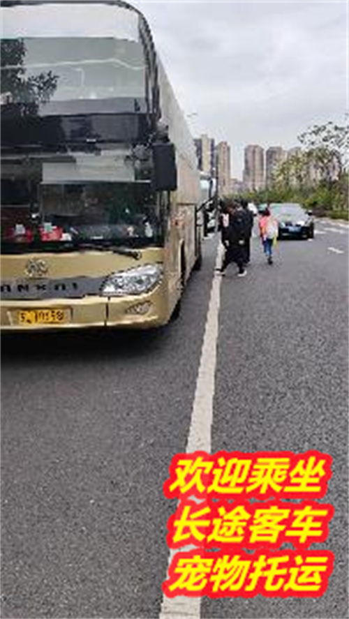 罗甸到凯里汽车多少趟 罗甸到凯里汽车多少趟