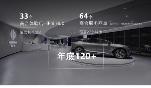 高合汽车郑州销多少
