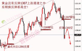 追高金价的年轻人 如何用策略止损？