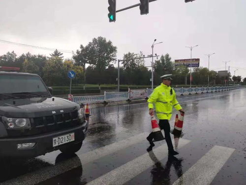武汉暴雨街头有车“吃井盖”武汉暴雨街头惊现车辆吃井盖，城市安全与应急管理的双重挑战)