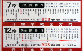 连云港东海汽车票多少钱(连云港东海汽车票价格详解)