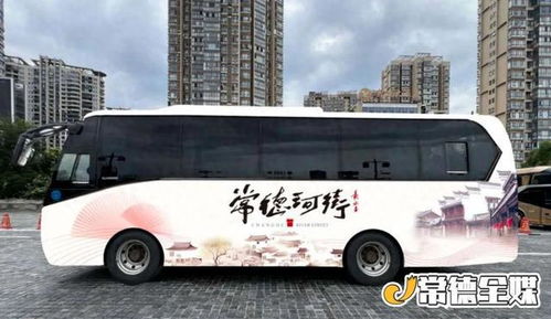 炎陵至佛山汽车票多少钱(炎陵至佛山汽车票价详解，费用、路线与旅行准备)