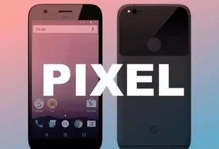 华为google怎么下载到电脑上(华为与Google，如何在电脑上下载和使用它们)