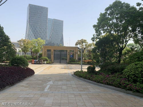 合肥汽车电子产品多少钱(合肥汽车电子产品价格概览)