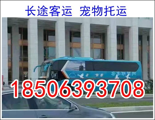 扶余到舒兰汽车票多少钱(关于扶余到舒兰汽车票价的信息)
