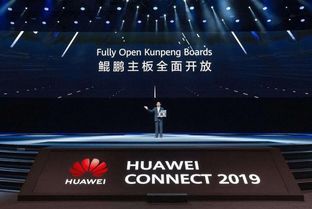 华为电脑开机没有软件怎么检查(华为电脑开机无软件检查指南)
