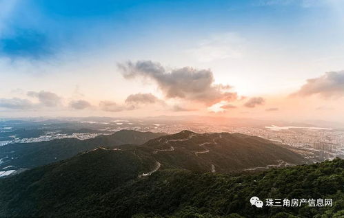江门汽车天线多少钱一个(江门汽车天线价格解析，多少钱一个？