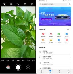 华为电脑怎么播抖音(华为电脑如何轻松播放抖音，详细步骤与操作指南)