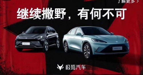 直播间极狐汽车多少钱(极狐汽车直播间的价格揭秘，多少人民币？