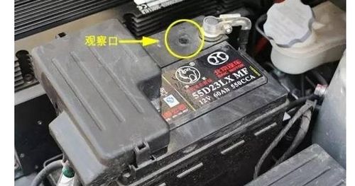汽车上电池是多少伏的电(汽车上电池电压解析，多少伏的电在驱动我们的座驾？