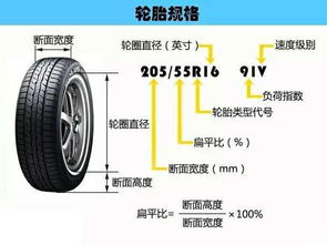南充汽车轮胎进货价多少(南充汽车轮胎进货价深度解析)