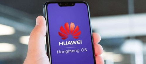 华为手机怎么下架了