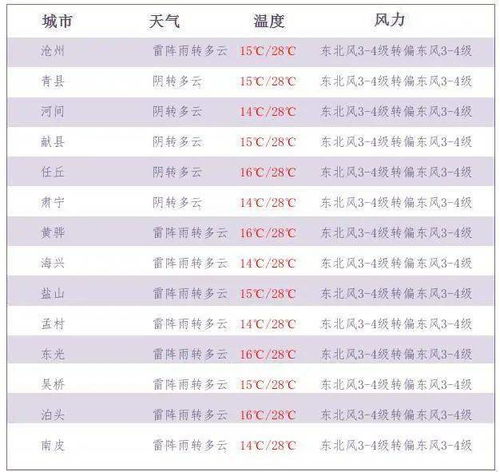 上到99下到刚会走 挪威划船庆祝爆火