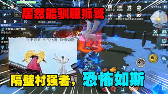 解密游戏游戏风云攻略 VS 飞船攻略游戏
