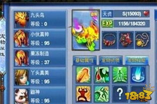 暗道游戏攻略 VS 神武4游戏宠物打书攻略
