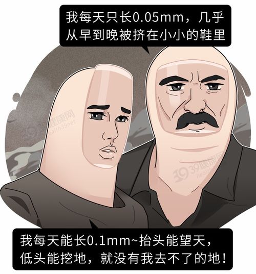 虚弱游戏攻略 VS 游戏躲避大鸟攻略