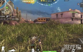 出击荒岛游戏攻略 VS 梨木台游戏攻略