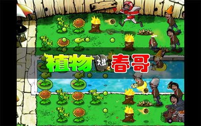 木炭游戏攻略 VS 春之精灵游戏游戏攻略