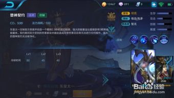 lirbo游戏攻略 VS 王者东皇攻略游戏攻略